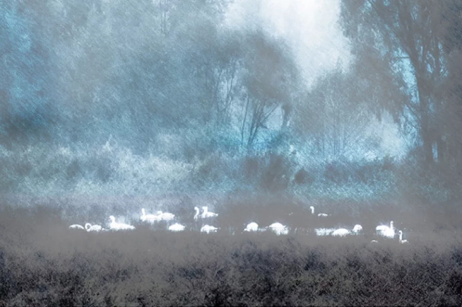 "Małe Ojczyzny" w Domu Polsko-Słowackim - zdjęcie 8