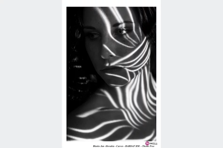 Wernisaż wystawy „Bardaf International Exhibition” - zdjęcie 4