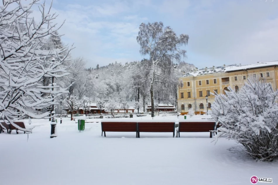 Zima powróciła do Krynicy - zdjęcie 2