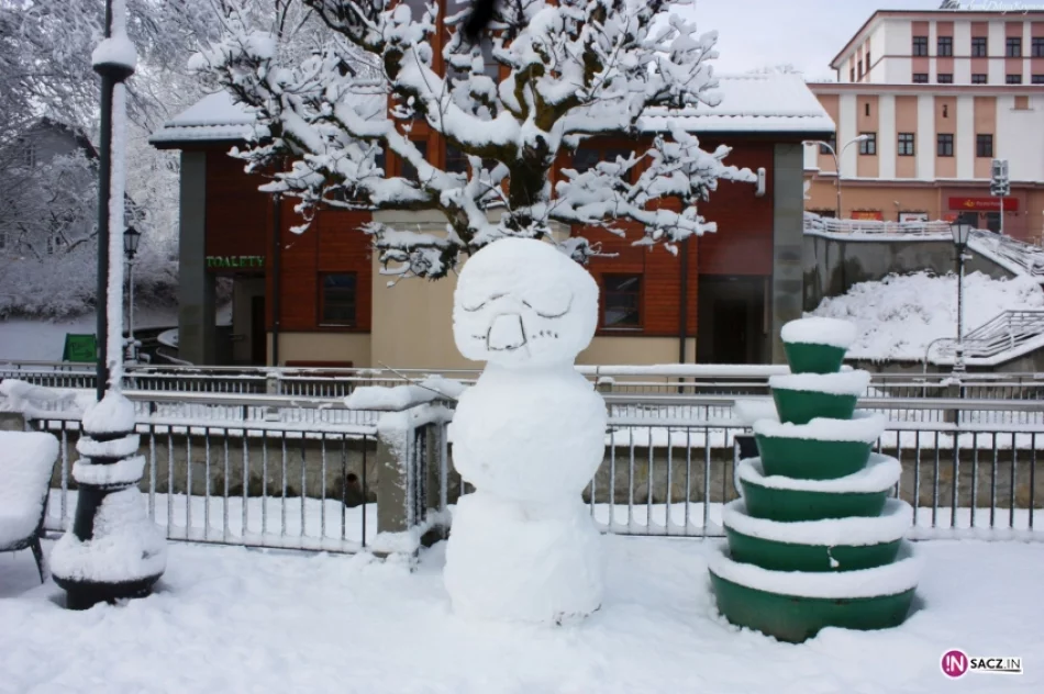 Zima powróciła do Krynicy - zdjęcie 3