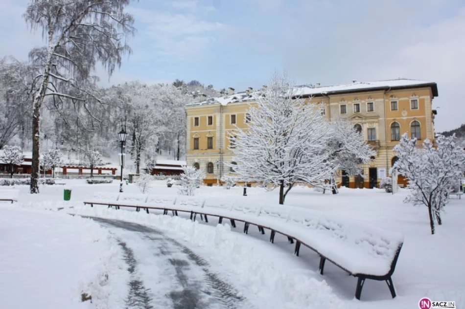 Zima powróciła do Krynicy - zdjęcie 4