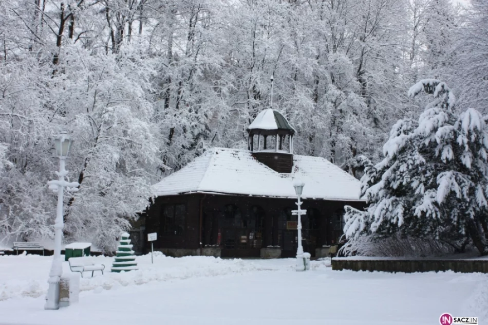 Zima powróciła do Krynicy - zdjęcie 8