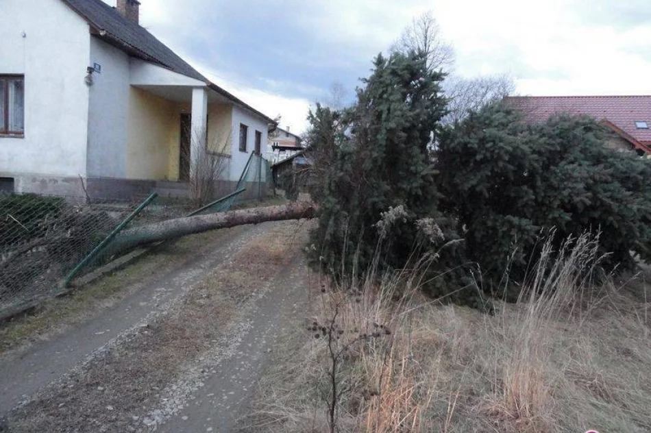 Skutki halnego na Sądecczyźnie - zdjęcie 2