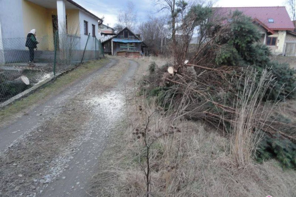 Skutki halnego na Sądecczyźnie - zdjęcie 3