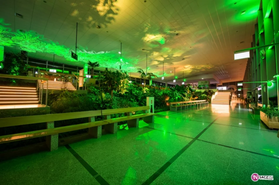 Eney w Krynicy – Zdroju! - zdjęcie 14