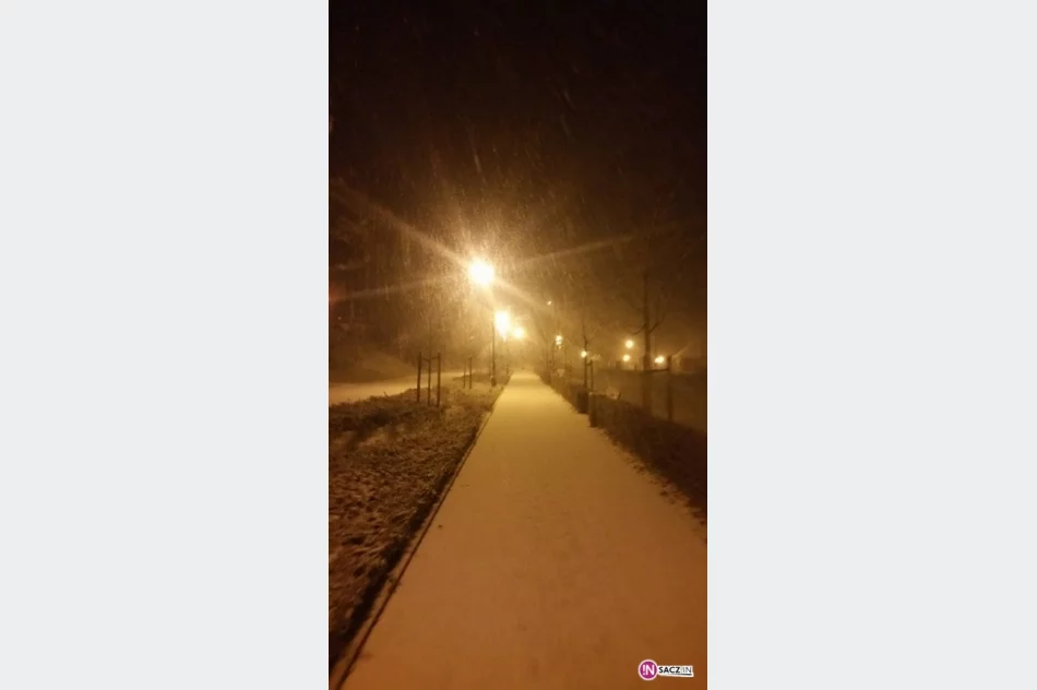 Zima w Muszynie - zdjęcie 4