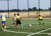 Grybovia i Zyndram wśród finalistów - zdjęcie główne