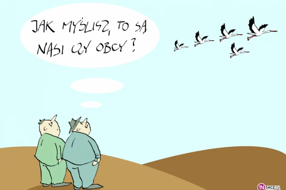 Rok z głowy - zdjęcie 4