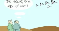 Rok z głowy - zdjęcie 4