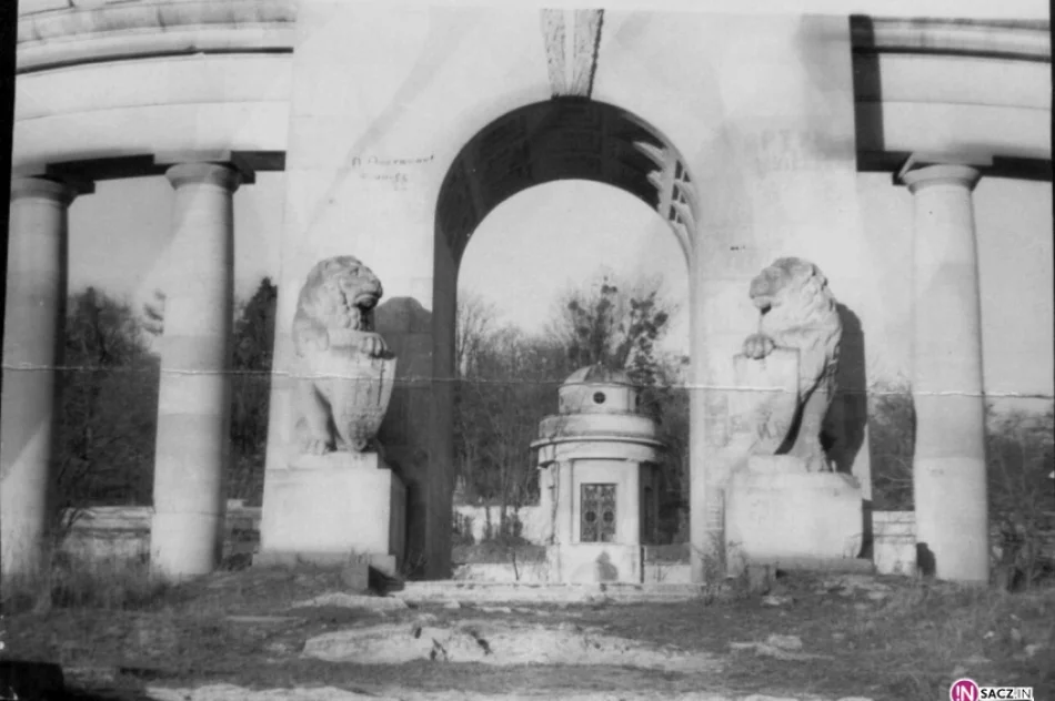 Powrót orłów - zdjęcie 9