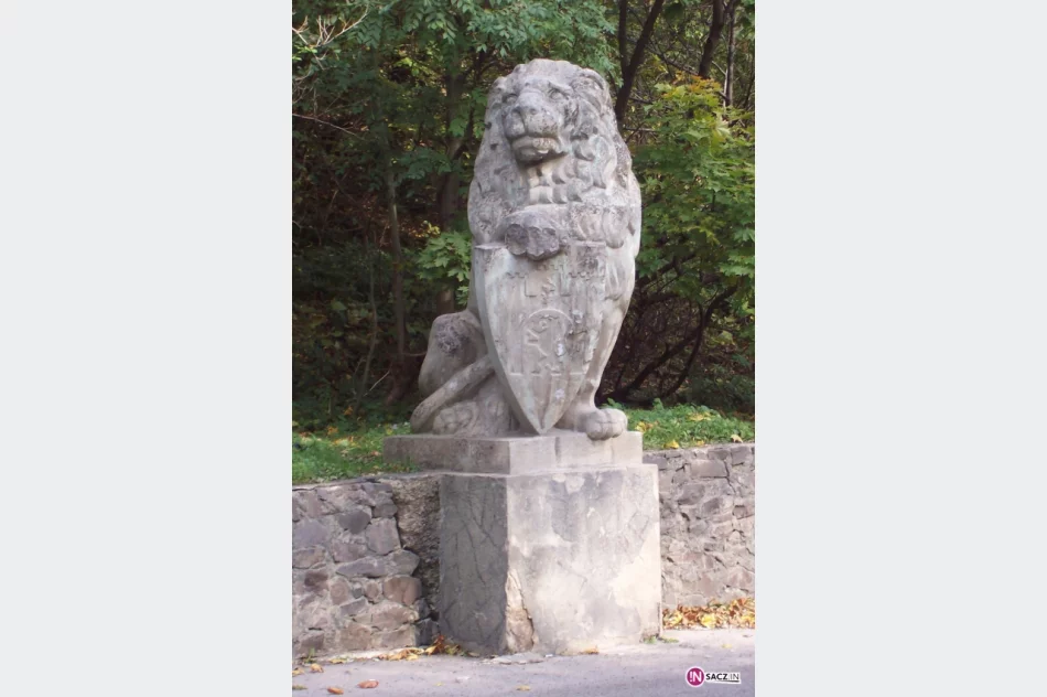 Powrót orłów - zdjęcie 10