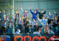 Duże wzmocnienie Limanovii - zdjęcie główne