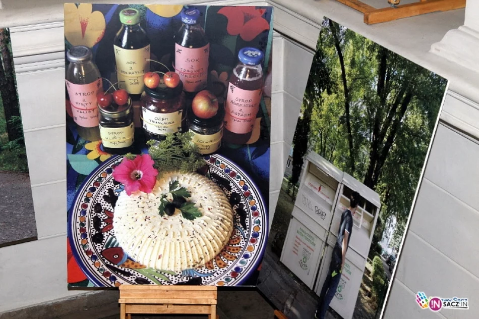 W ratuszu można obejrzeć wystawę „Emitenci pozytywnej energii” - zdjęcie 2