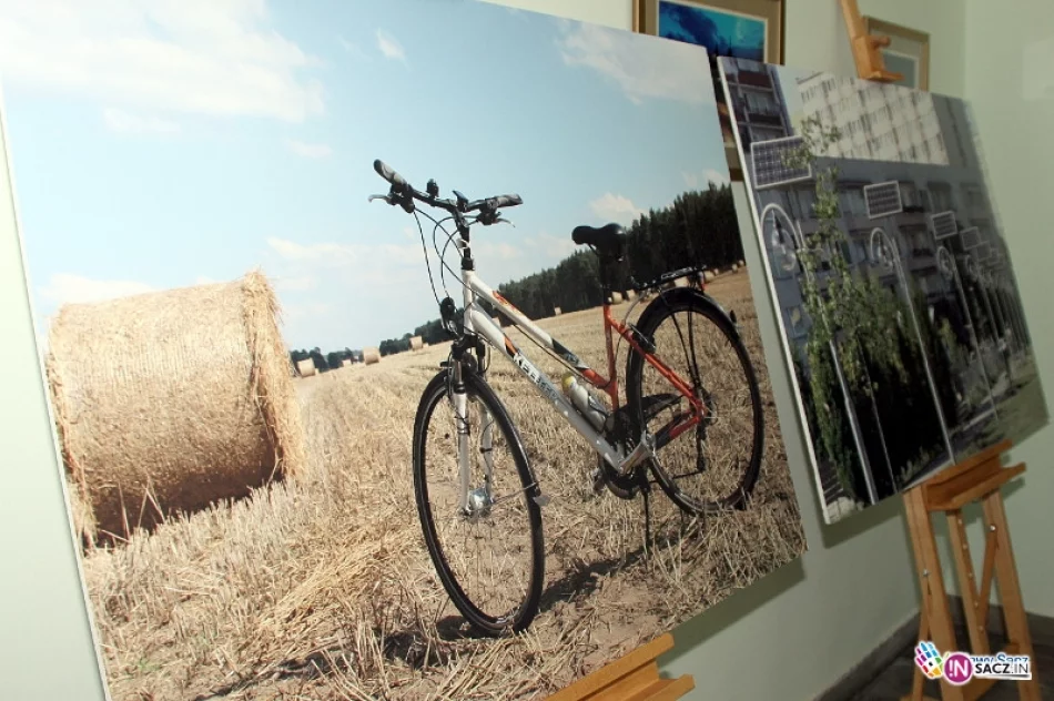 W ratuszu można obejrzeć wystawę „Emitenci pozytywnej energii” - zdjęcie 3