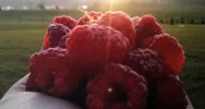 W ratuszu można obejrzeć wystawę „Emitenci pozytywnej energii” - zdjęcie 4