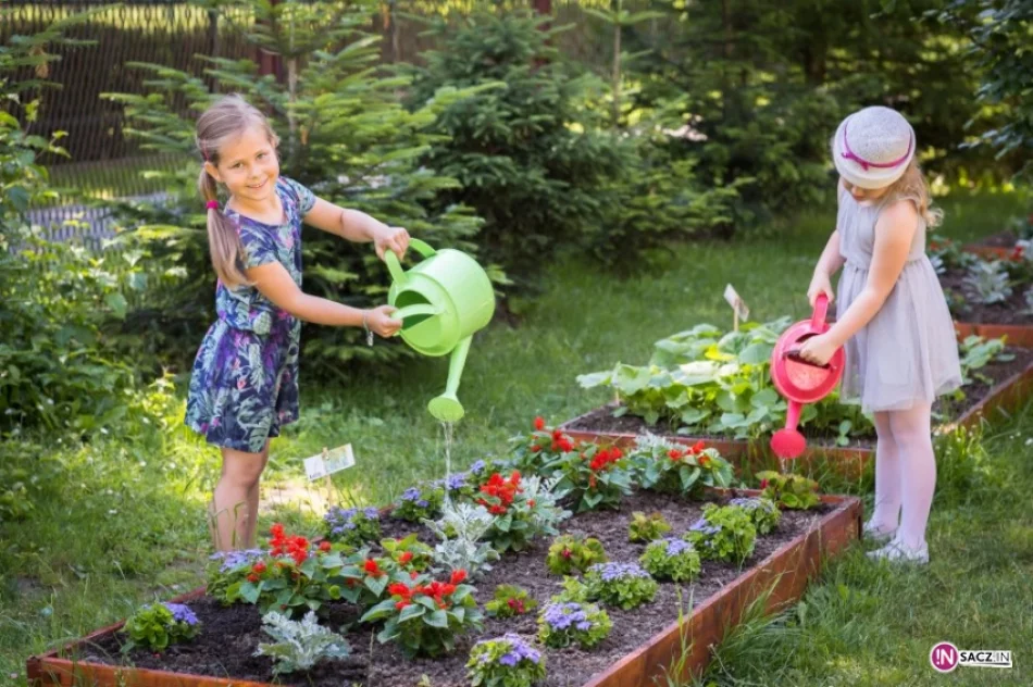 Montessoriańskie dzieci w Nowym Sączu - zdjęcie 2