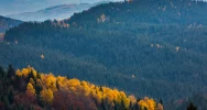 Promocja regionu - widoki z Gorców i Beskidu Wyspowego w TVP Info - zdjęcie 1