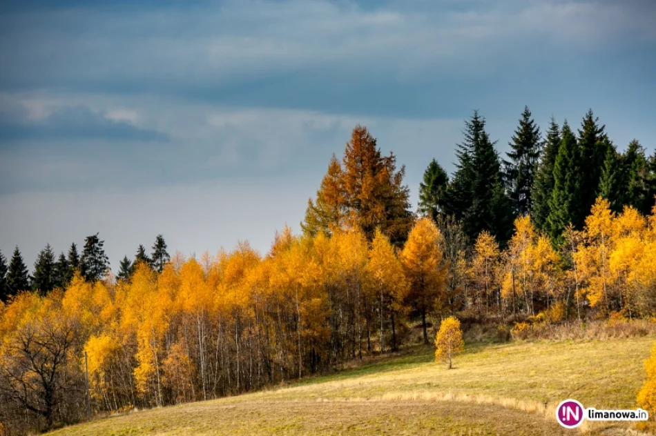 Jesienne wschody i zachody Słońca (2015) - zdjęcie 2