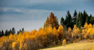 Promocja regionu - widoki z Gorców i Beskidu Wyspowego w TVP Info - zdjęcie 2