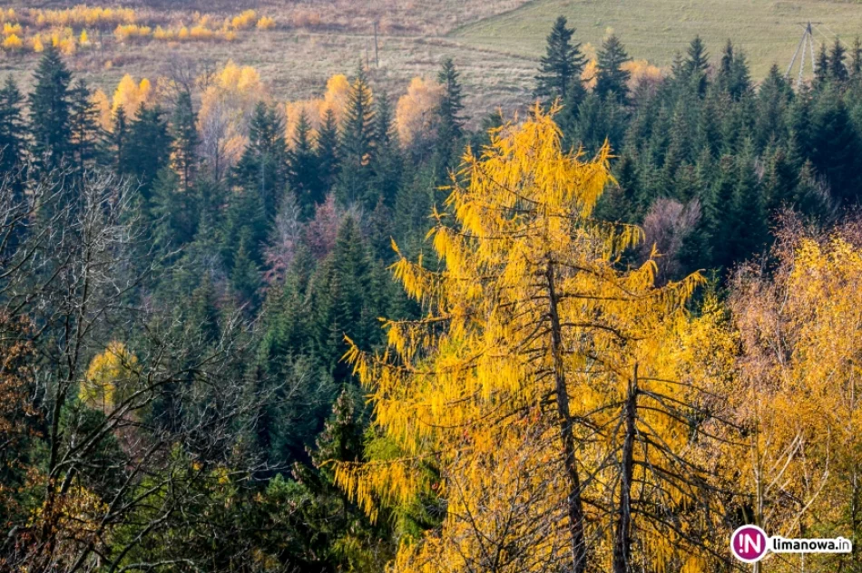 Jesienne wschody i zachody Słońca (2015) - zdjęcie 3