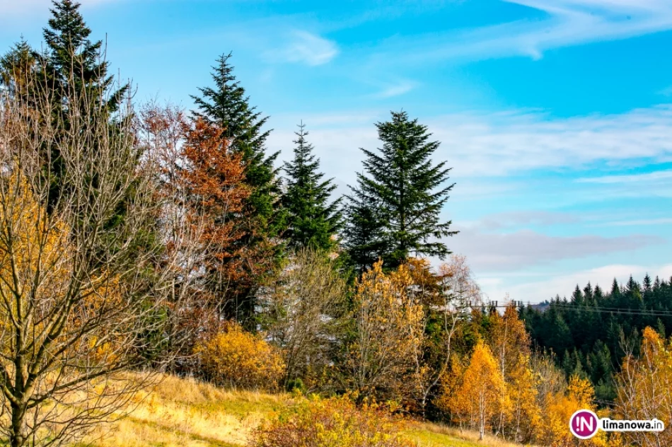 Jesienne wschody i zachody Słońca (2015) - zdjęcie 4