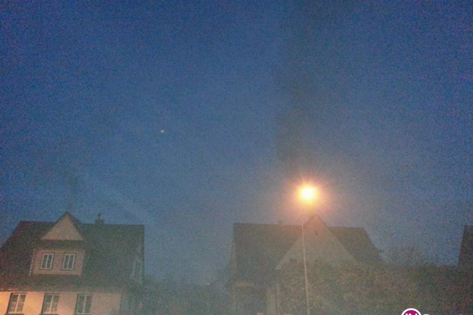 "Galeria wstydu" - zdjęcie 5