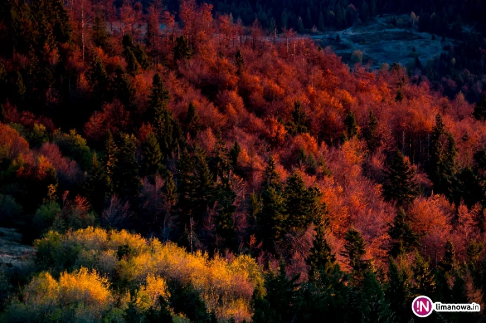 Wschód słońca z Gorca - zdjęcie 19