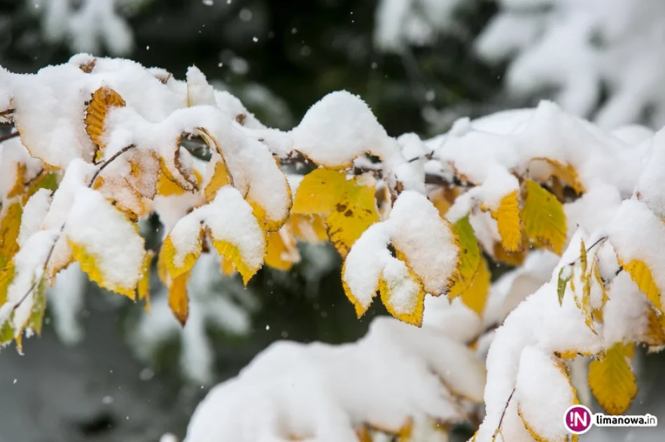 Białe lato, czyli zima 12 października 2015 roku - zdjęcie 3
