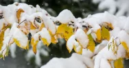 Ostrzeżenie o oblodzeniu! Zobacz zdjęcia pierwszego śniegu - zdjęcie 3