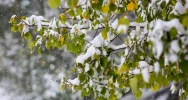 Ostrzeżenie o oblodzeniu! Zobacz zdjęcia pierwszego śniegu - zdjęcie 4
