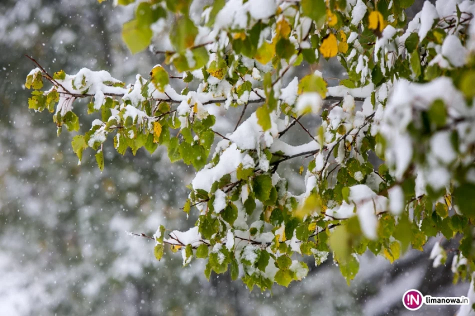 Białe lato, czyli zima 12 października 2015 roku - zdjęcie 4