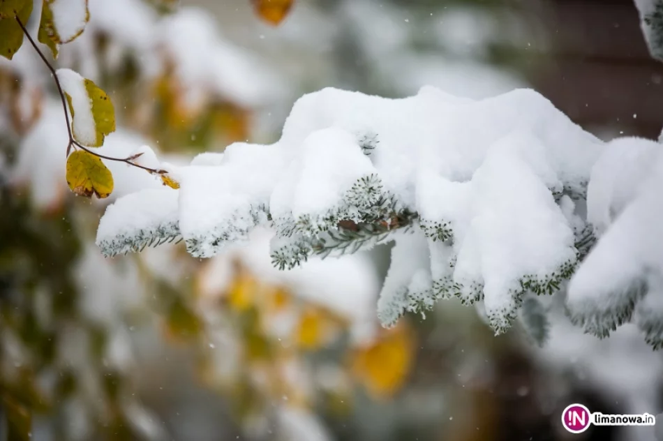 Białe lato, czyli zima 12 października 2015 roku - zdjęcie 5