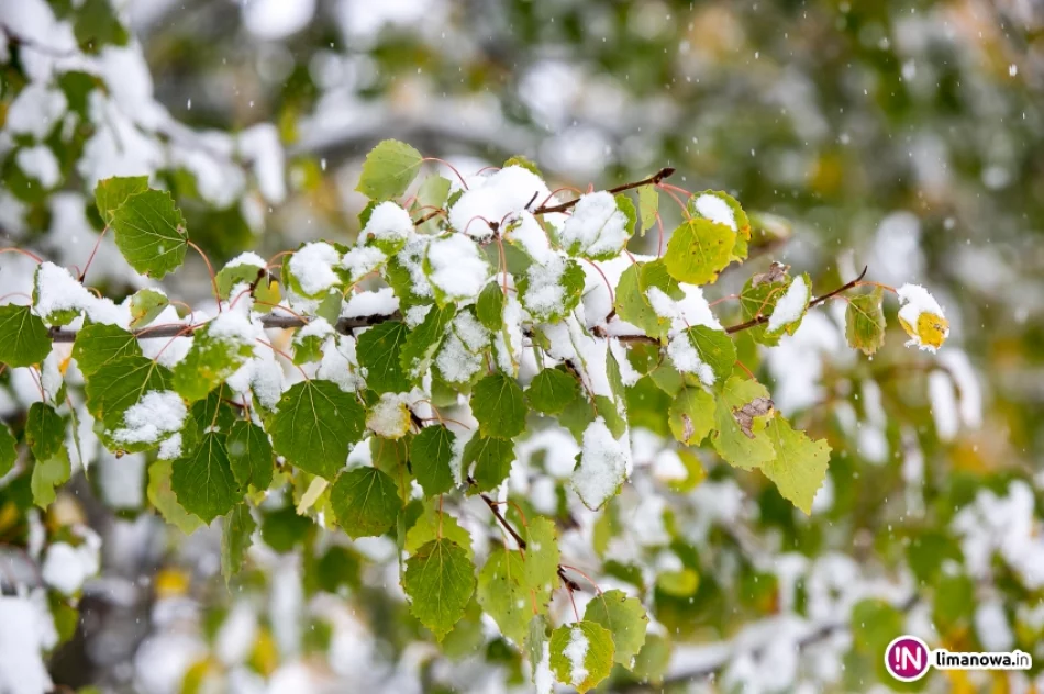 Białe lato, czyli zima 12 października 2015 roku - zdjęcie 6