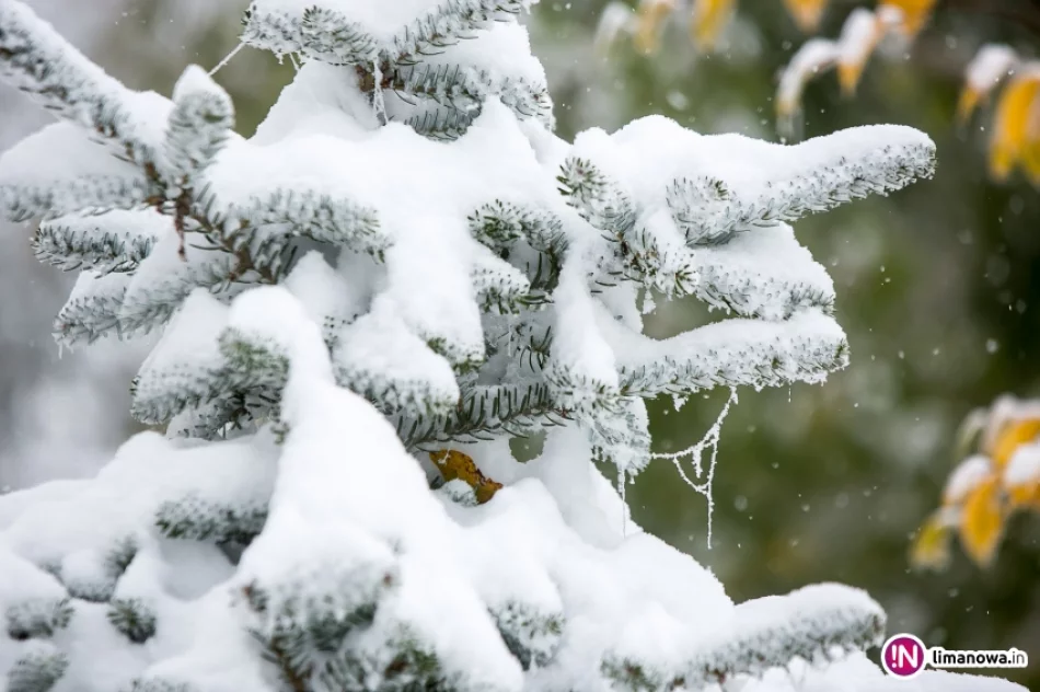 Białe lato, czyli zima 12 października 2015 roku - zdjęcie 7