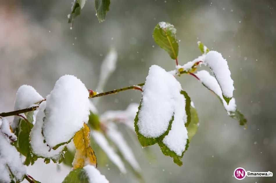 Białe lato, czyli zima 12 października 2015 roku - zdjęcie 8