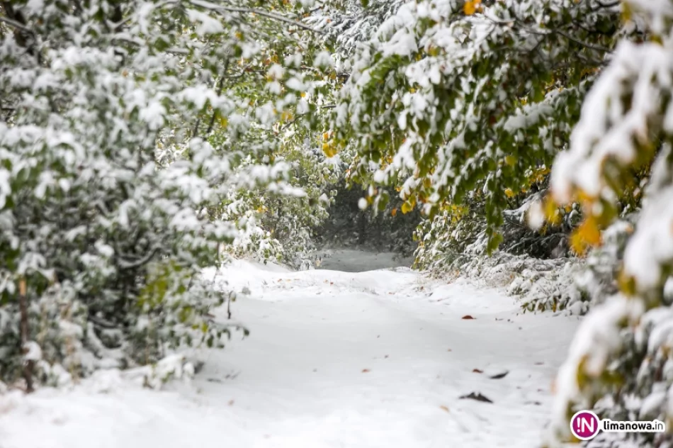 Białe lato, czyli zima 12 października 2015 roku - zdjęcie 9