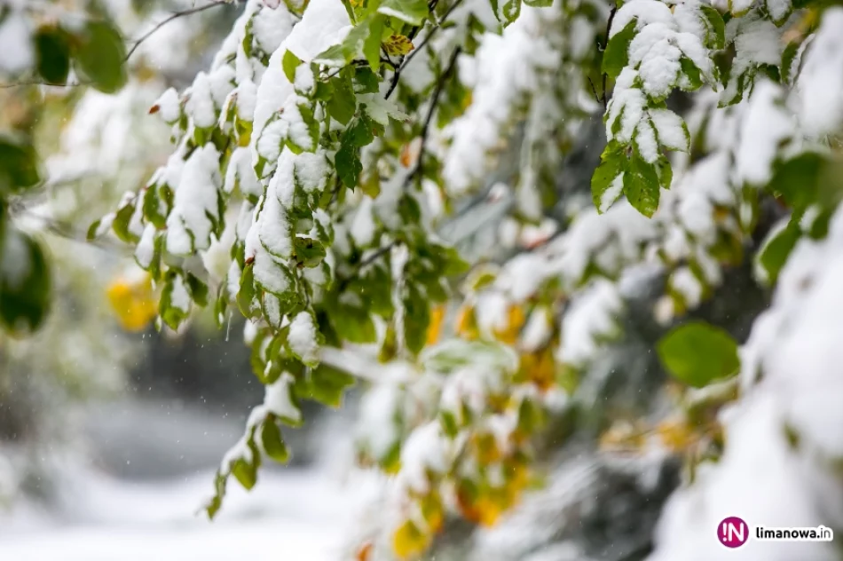 Białe lato, czyli zima 12 października 2015 roku - zdjęcie 10