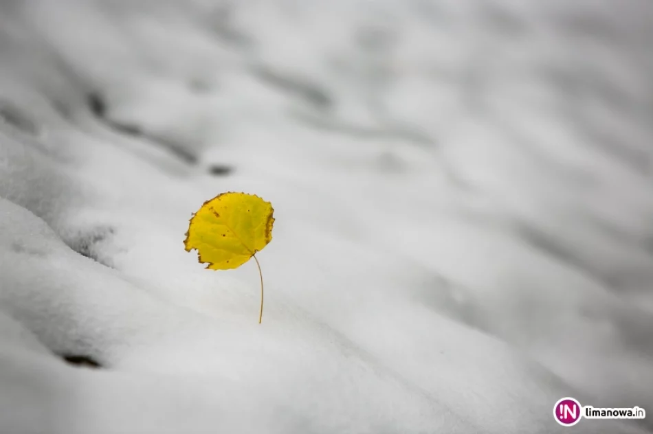 Białe lato, czyli zima 12 października 2015 roku - zdjęcie 11