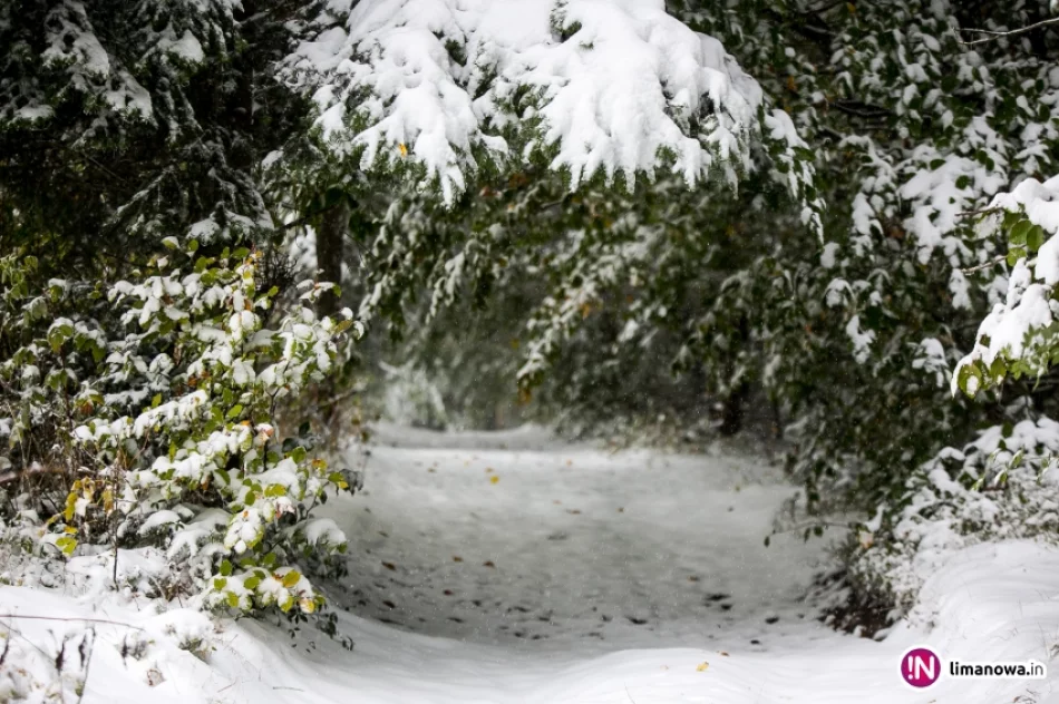 Białe lato, czyli zima 12 października 2015 roku - zdjęcie 12