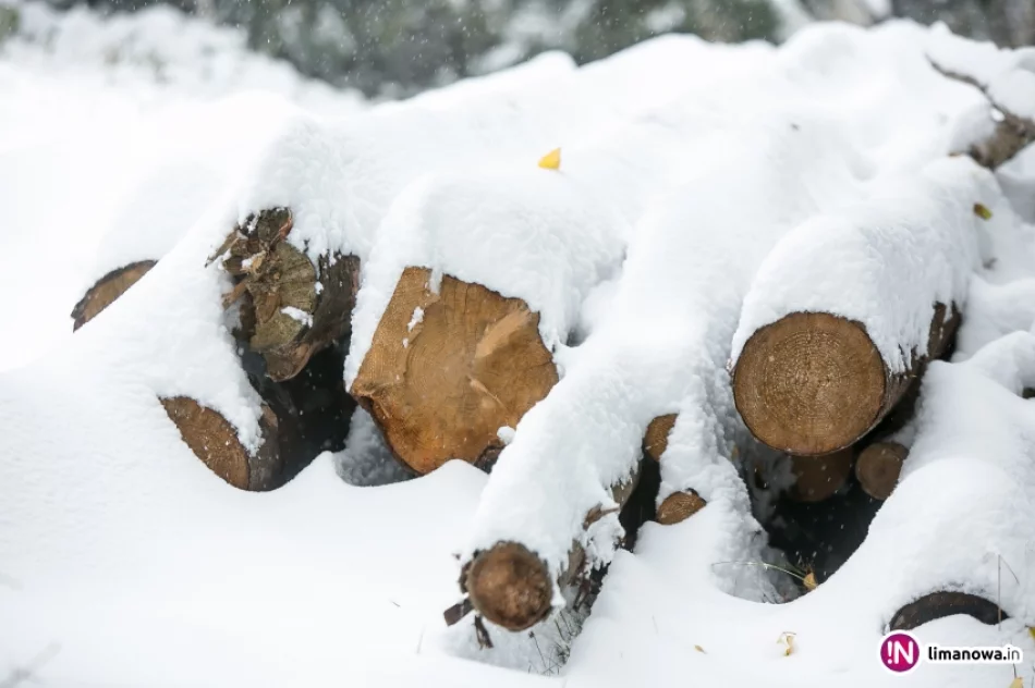 Białe lato, czyli zima 12 października 2015 roku - zdjęcie 13