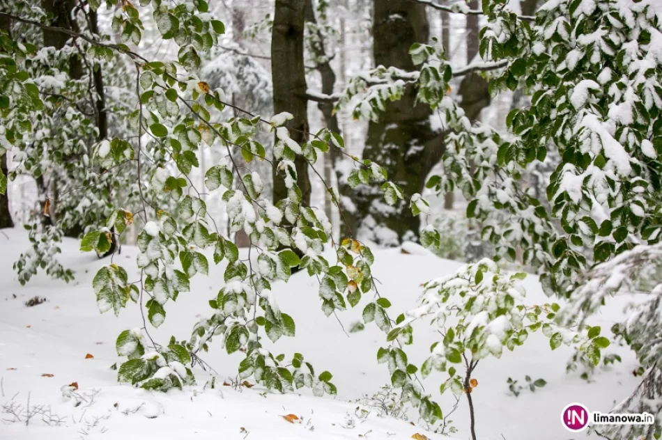 Białe lato, czyli zima 12 października 2015 roku - zdjęcie 14