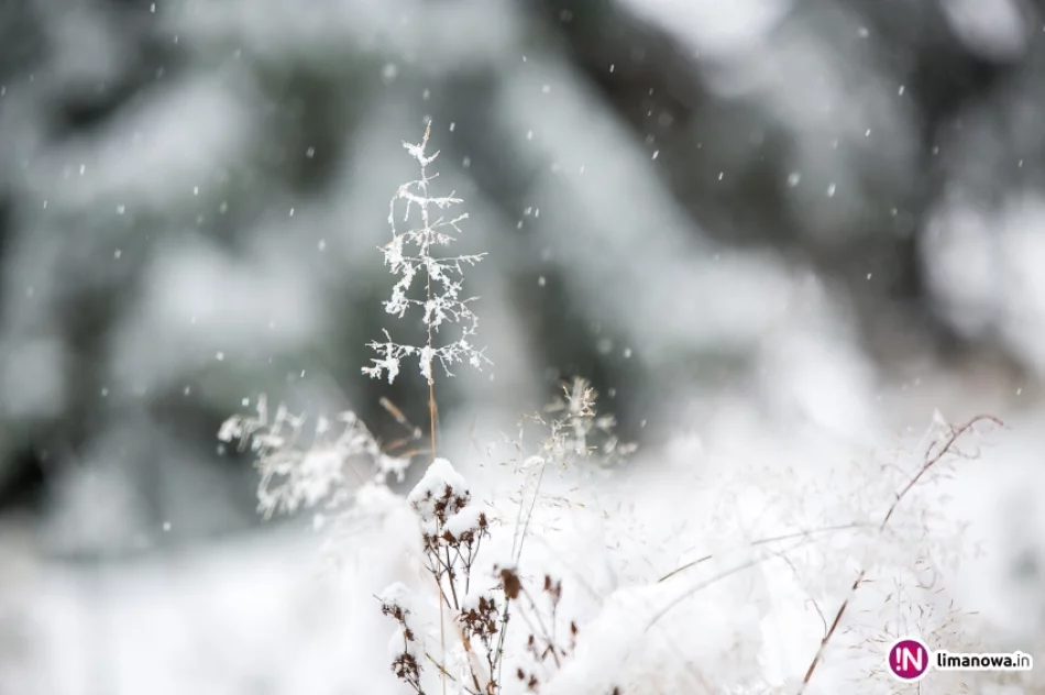 Białe lato, czyli zima 12 października 2015 roku - zdjęcie 15