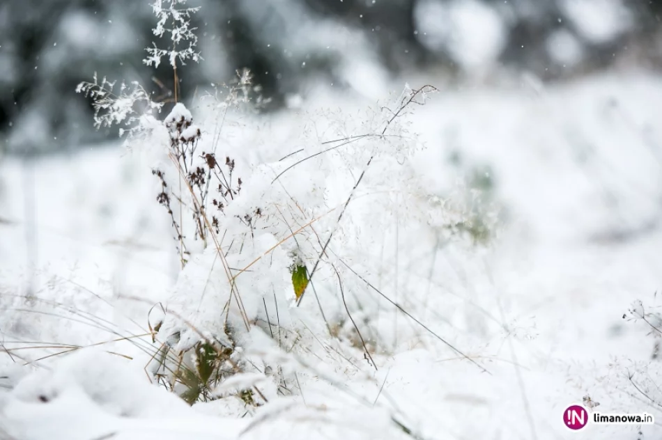 Białe lato, czyli zima 12 października 2015 roku - zdjęcie 16
