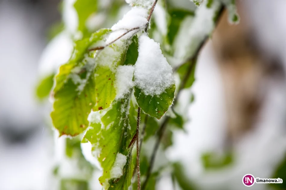 Białe lato, czyli zima 12 października 2015 roku - zdjęcie 17
