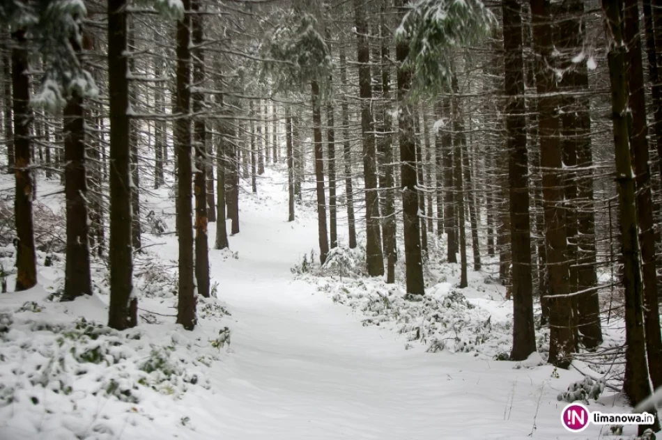 Białe lato, czyli zima 12 października 2015 roku - zdjęcie 18