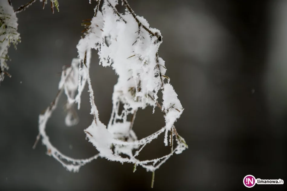 Białe lato, czyli zima 12 października 2015 roku - zdjęcie 19