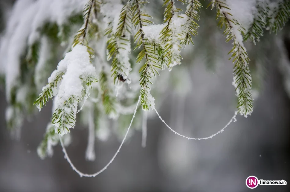 Białe lato, czyli zima 12 października 2015 roku - zdjęcie 20