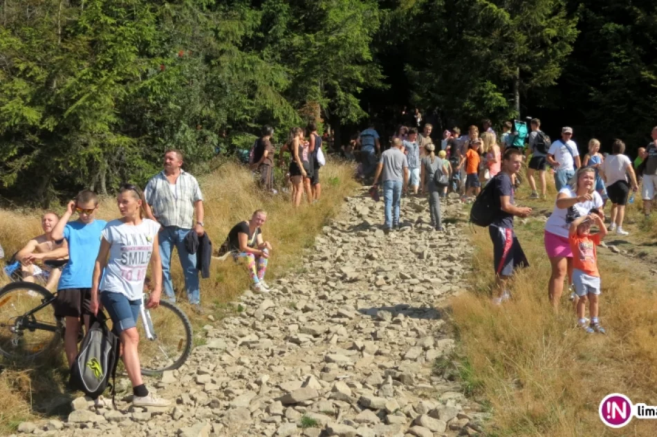 Złaz na Mogielicy 2015 - zdjęcie 3