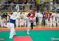 One World One Kyokushin - zobacz wyniki - zdjęcie główne