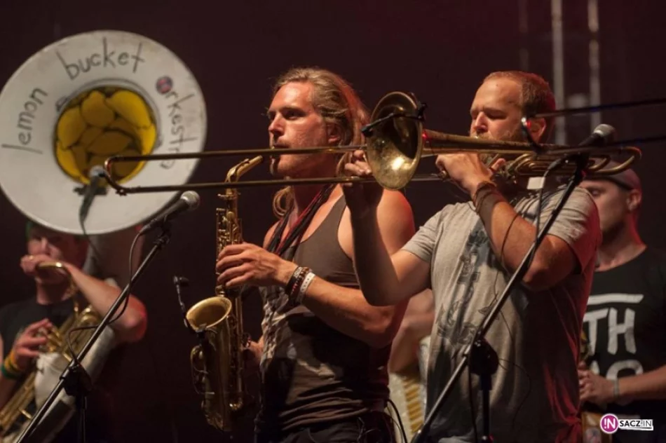 3. Pannonica Folk Festival 2015 - zdjęcie 3